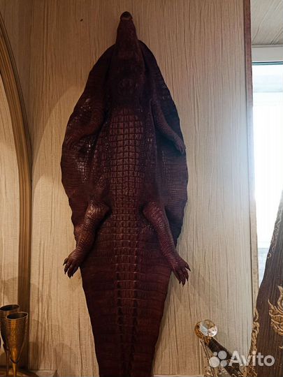 Кожа крокодила шкура