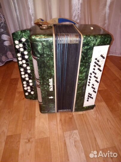 Баян Школьник