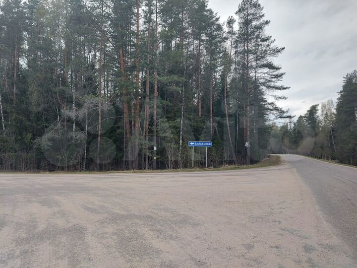 Участок 46 сот. (СНТ, ДНП)