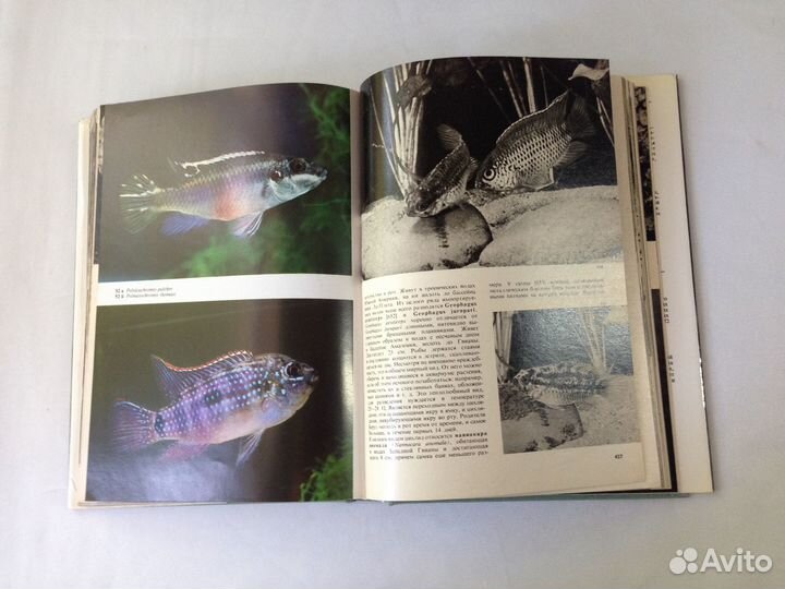 Книги. Для подарка