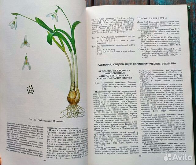 Ботаническая книга лекарственные растения