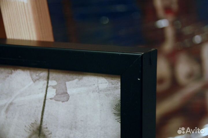 Перевезенцев Ю.Ю. Спиральные ели. 1995 год