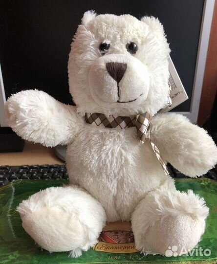 Мишка Тедди