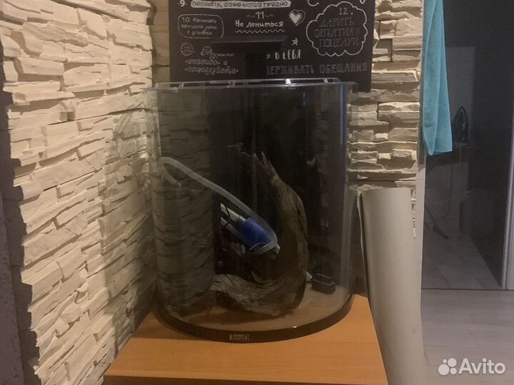 Аквариум