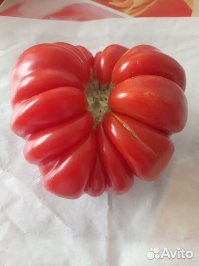 Семена томатов