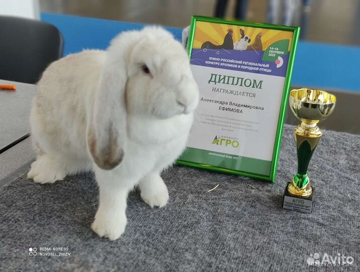 Кролики, мясо кролика(и копченое тож)