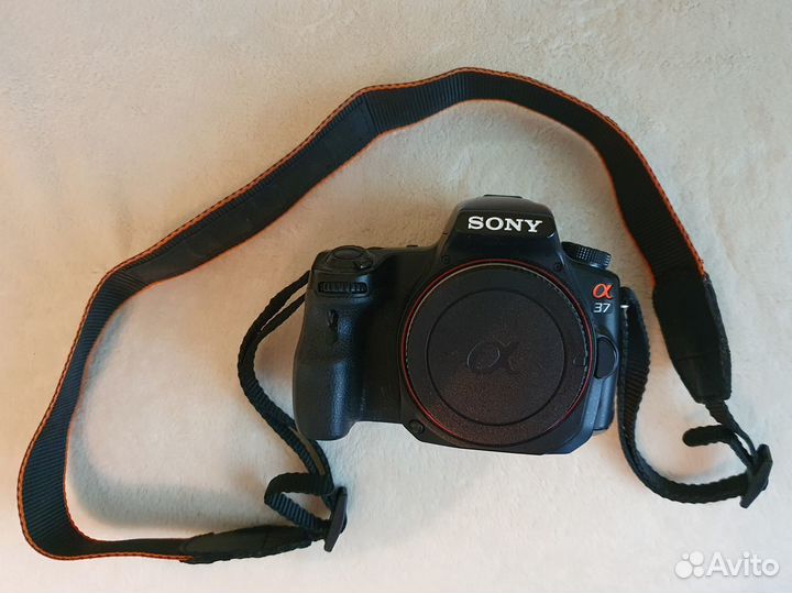 Фотоаппарат Sony alpha SLT a37 kit