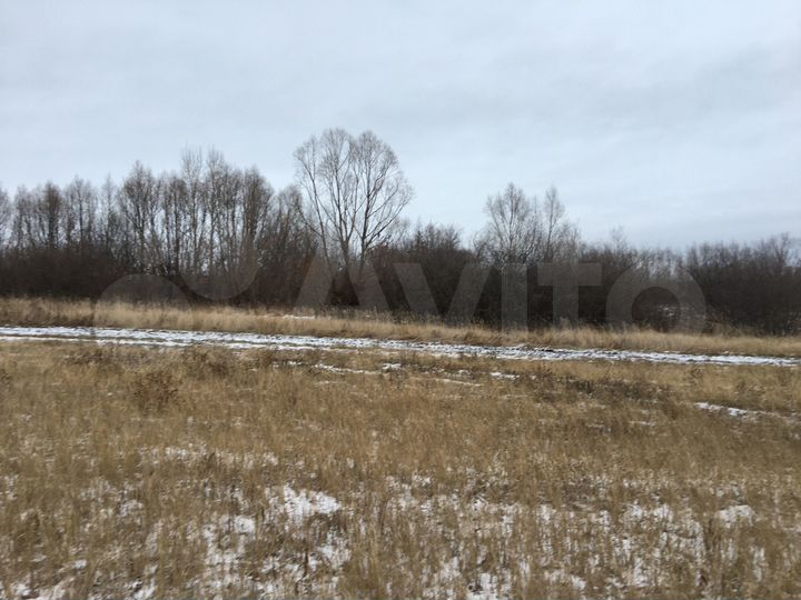 Участок 1,2 га (СНТ, ДНП)
