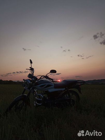 Alpha Motolend Rx 11