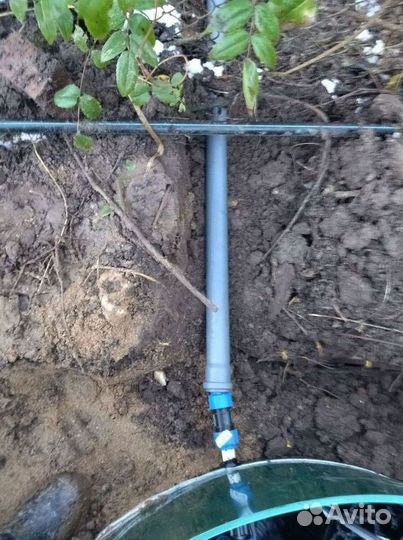 Септик Евролос про