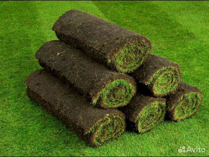 Стандарт рулонный газон