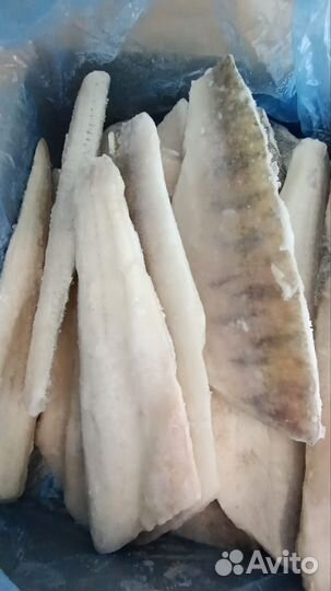 Филе судака на коже замороженное