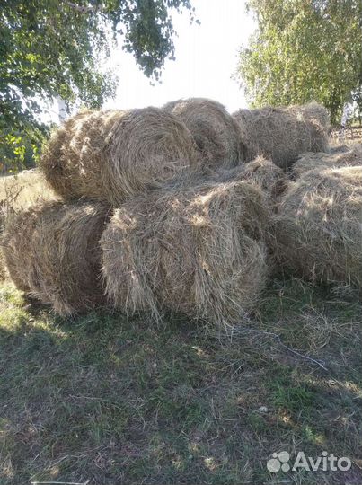 Сено в рулонах