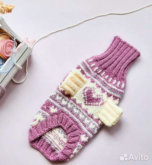 Одежда для собак