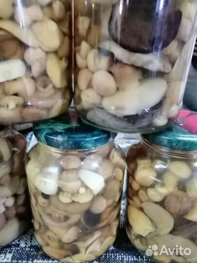 Грибы маринованные
