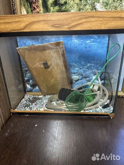 Аквариум