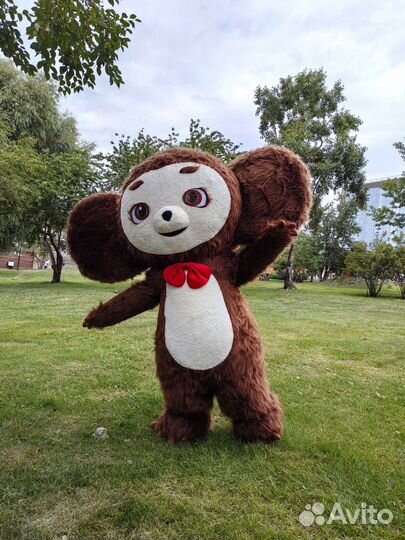 Ушастый любимый герой /Аниматор