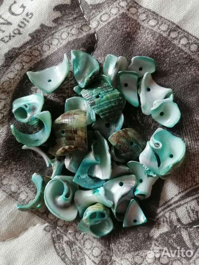 Ракушки. Украшения. Бижутерия. Декор