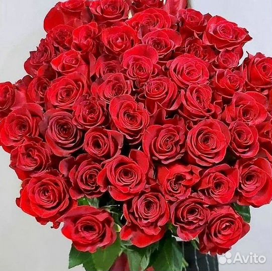 Высокие Розы Гиганты Доставка Круглосуточно