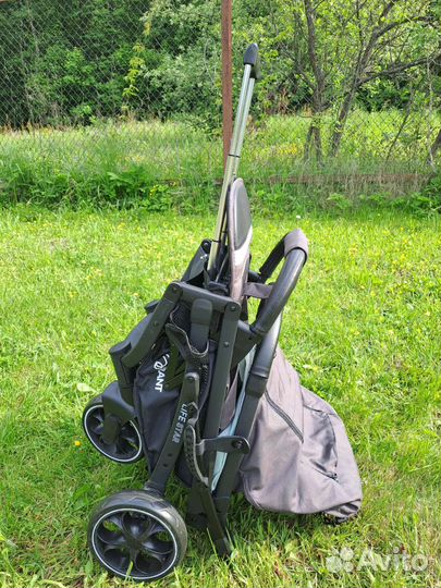 Прогулочная коляска rant starlife