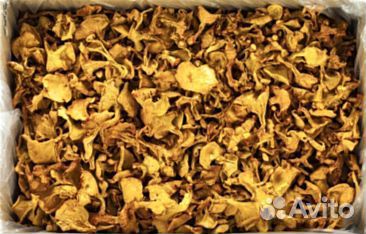 Грибы сушёные и солено-отварные