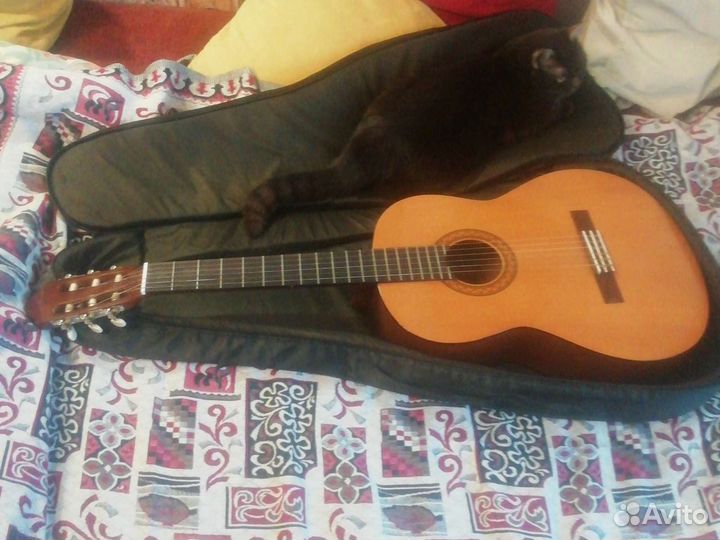 Классическая гитара yamaha c40 без кошки