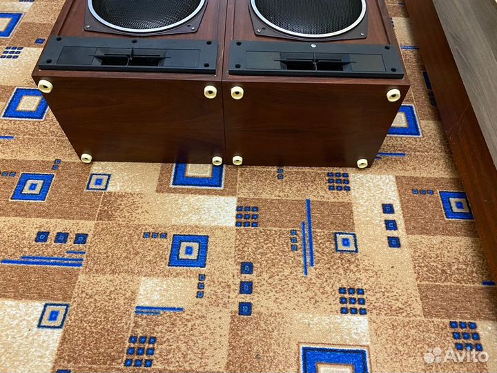 Акустика radiotechnika S-90d