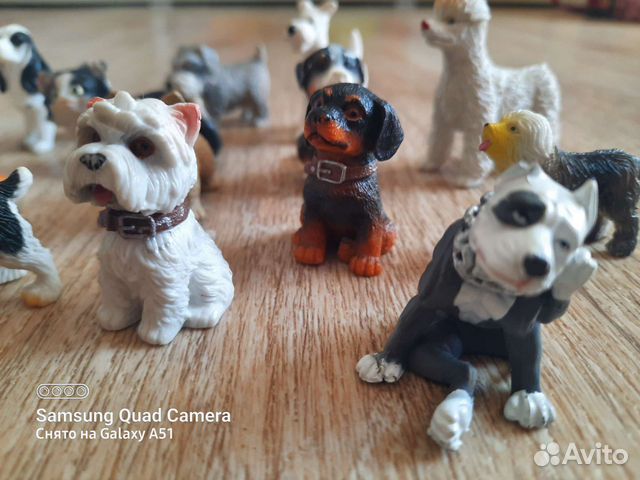 Коллекция собак и кошек