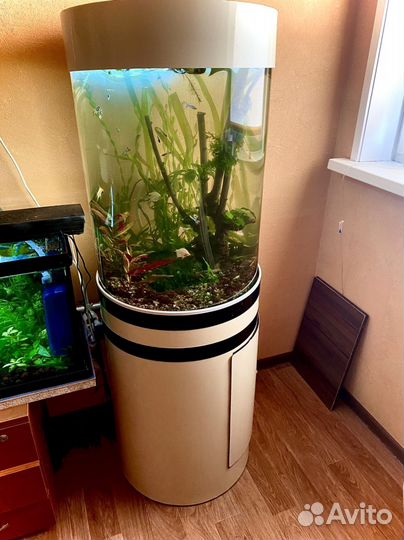 Аквариум с тумбой