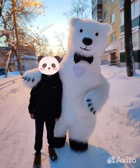 Поздравление Белый Мишка Зайка Кот Собачка Фиона