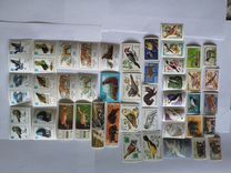 Почтовые марки "фауна"