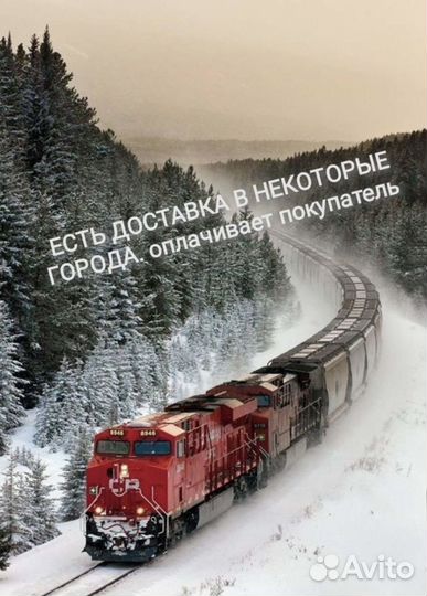 Амадины Гульда