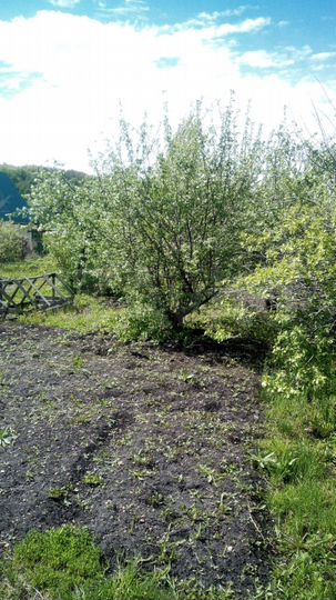 Участок 6 сот. (СНТ, ДНП)