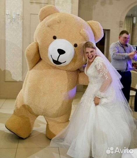 Плюшевый медведь, мишка Тедди, Белый Медведь