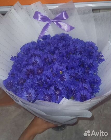 Васильки, букет васильков, васильков с ромашками