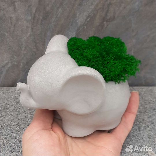 Слоник со стабилизированным мхом