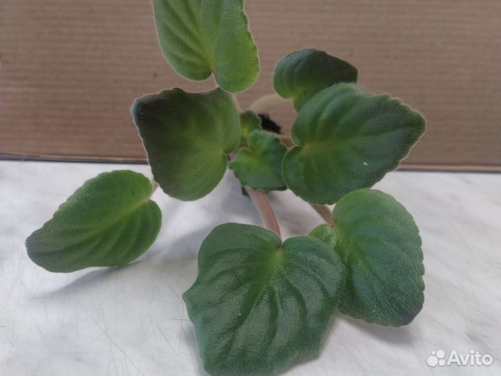 Форма для льда ананас