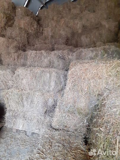 Сено люцерны, сено разнотравье, солома