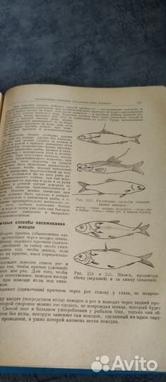 Книга л.п.сабанеев.1960 года