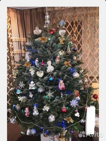 Новогодние ели и пихты премиального качества