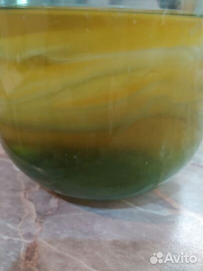 Чайный гриб комбуча