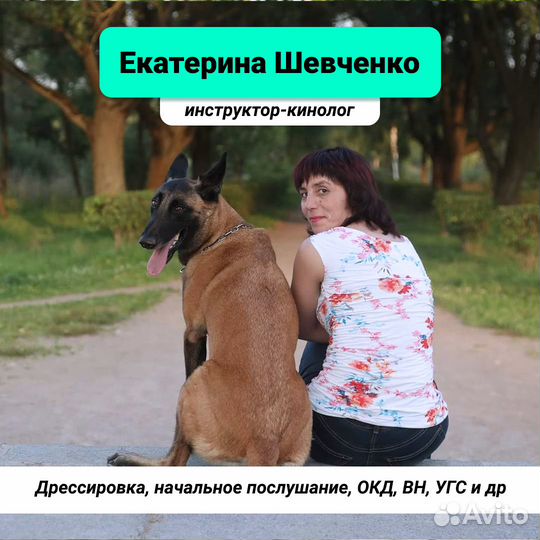 Кинолог в Кировском и Красносельском районе