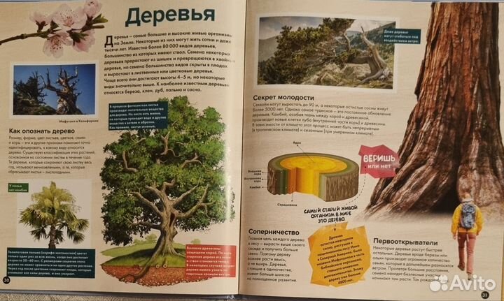 Энциклопедия для детей