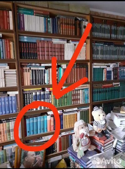 Глаза Рембрандта и другие