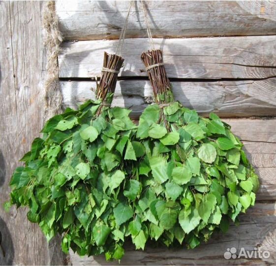 Веники березовые для бани