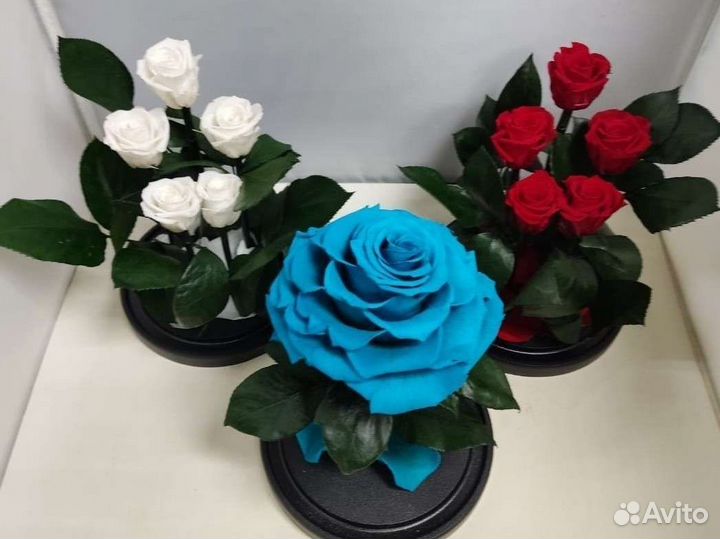 Подарок на новый год / Цветы