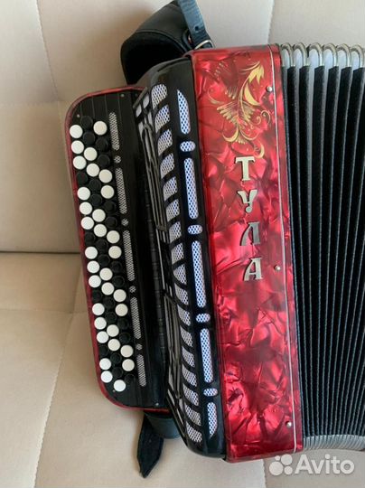 Баян тула 210