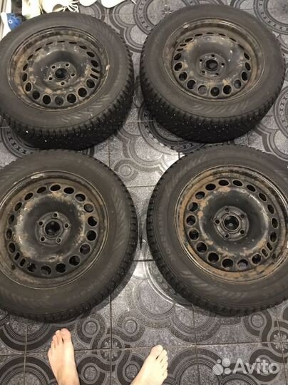 Nokian Tyres Nordman 8 205/60 R16