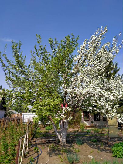 Дача 20 м² на участке 7,1 сот.