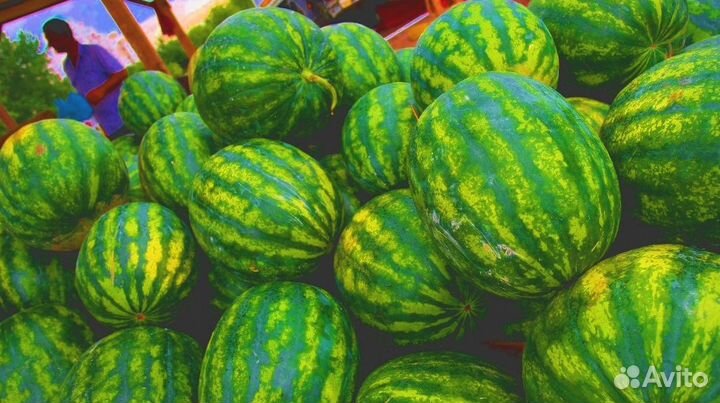 Арбузы Оптом